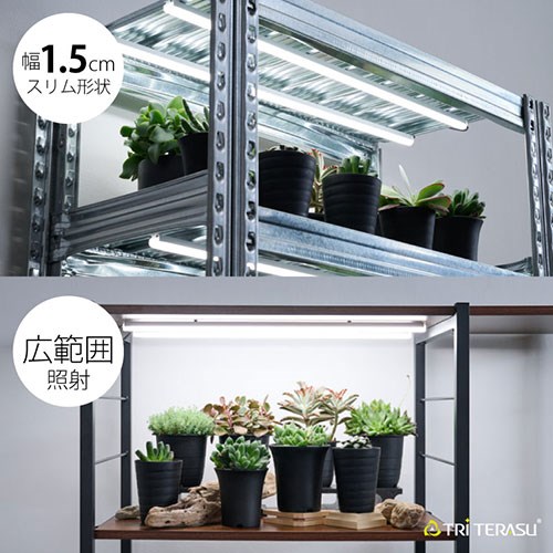 トライテラス 植物育成ライト プラントテラス580 長さ58cm 太陽光に
