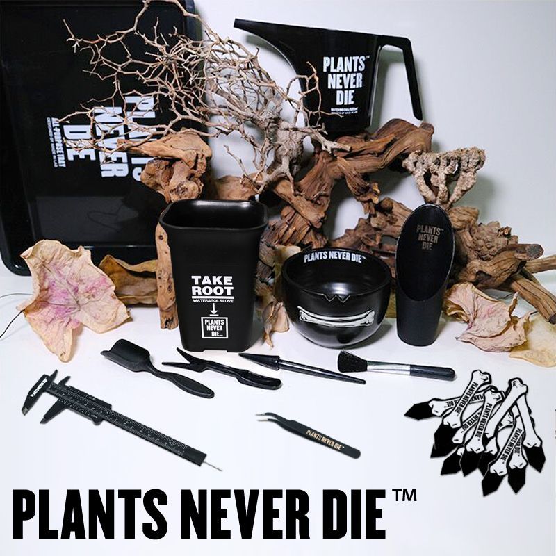 リコメン堂 plants never die 正規販売店 骨平鉢 W12.7cm×H9cm リコメン堂 plants never die 正規販売店 骨平鉢 W12.7cm×H9cm
