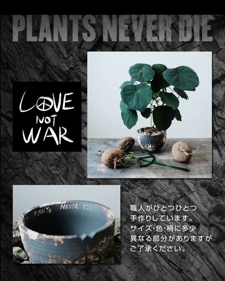 海外限定 plants never die 反戦鉢 asakusa.sub.jp
