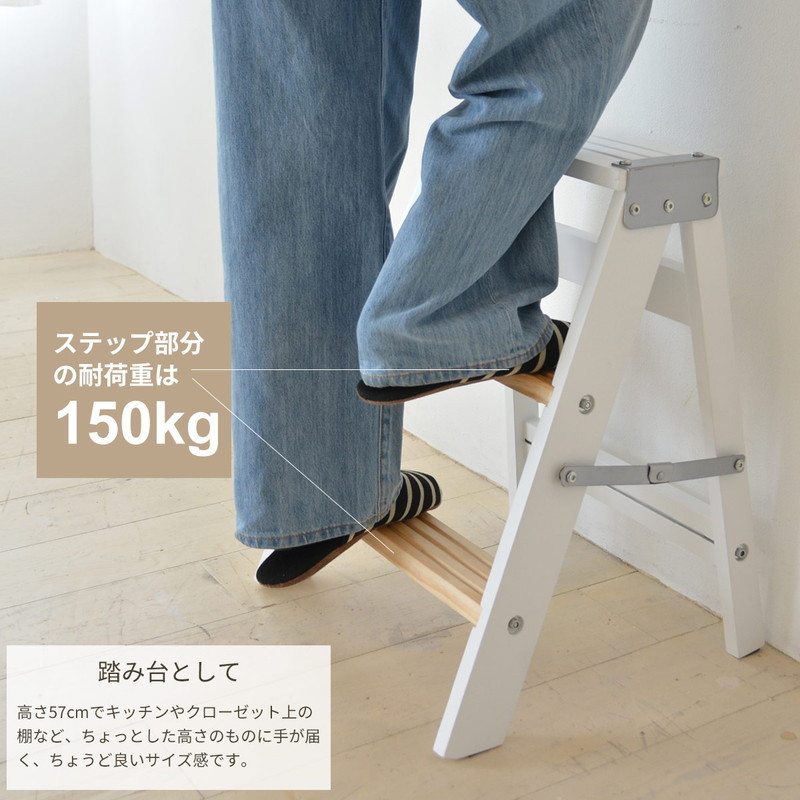 完成品 TEXAS ラダーラック 収納 ディスプレイラック はしご ステップ