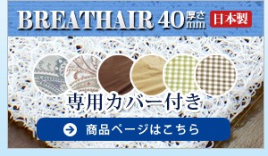 東洋紡 ブレスエアー 中芯 厚さ40mm 硬め シングルサイズ 専用COOL