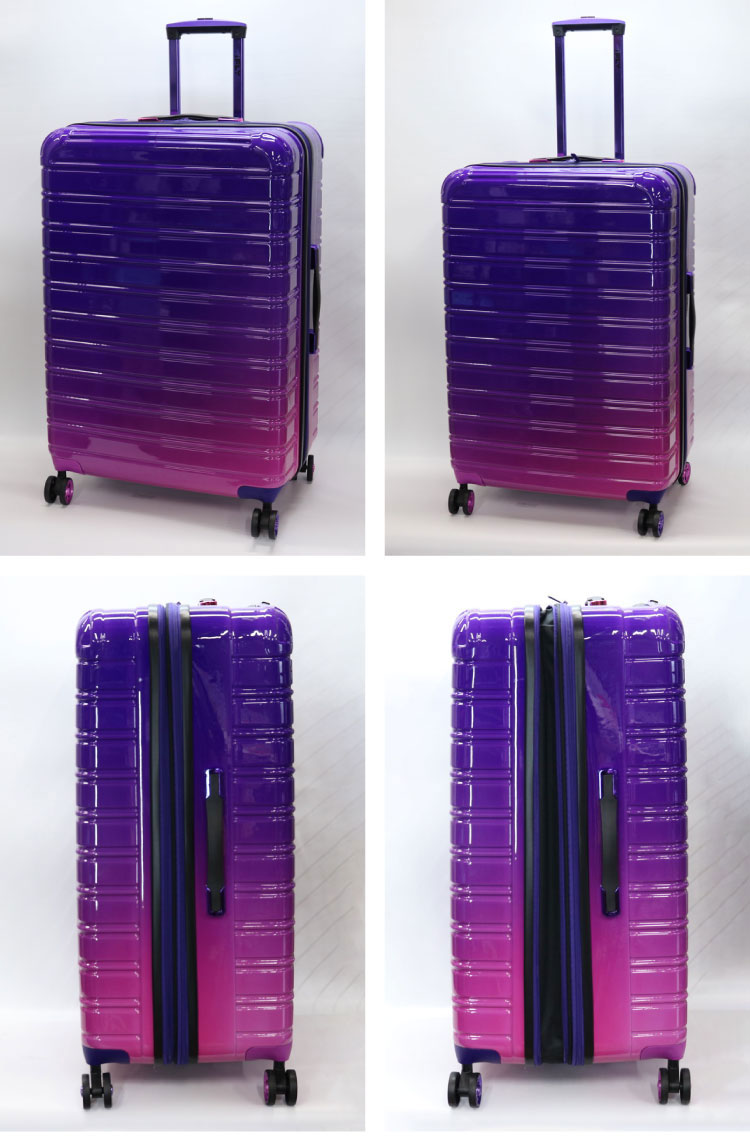 大型魚の簡易キャリーバッグ フィッシュキャリーバッグ DX II – フィッシングマックス WEBSHOP