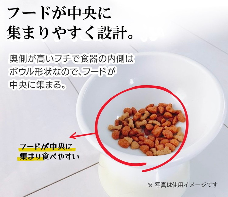 スケーター 短頭犬用 食器 陶磁器製 ペット餌入れ 幅広 マット付