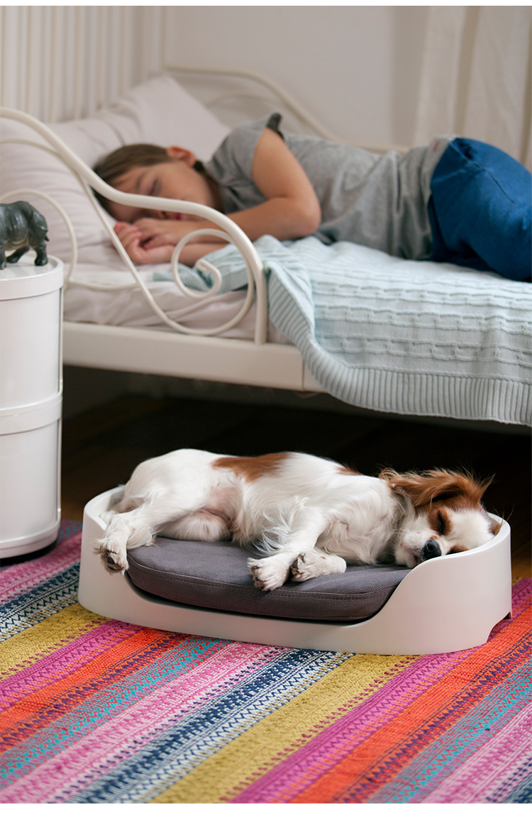 ペットバンクベッド ペット クッション 犬 猫 KETER ケータ― COZY