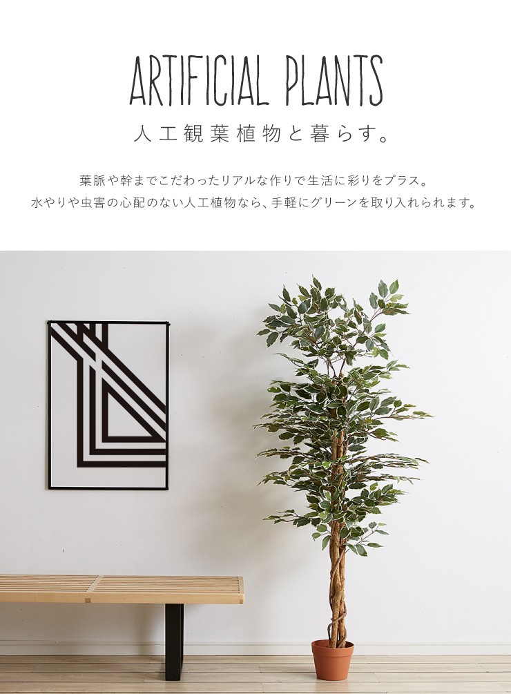 人工観葉植物 フィカス ロータイプ ゴムの木 フェイクグリーン