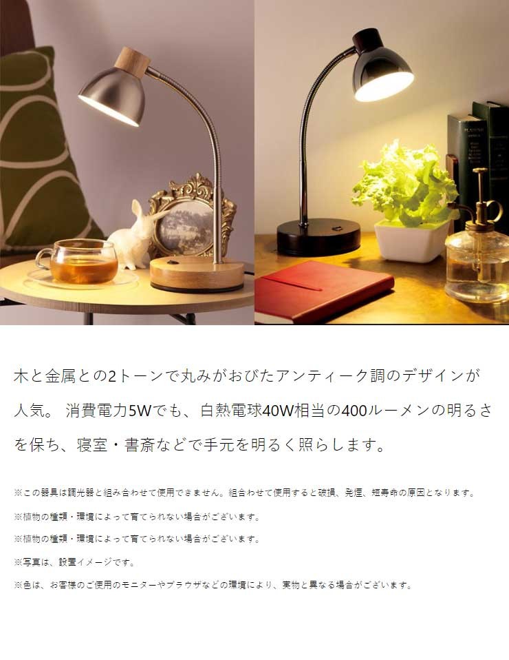 オリンピア MotoM モトム LEDテーブルランプ 木製ダークブラウン