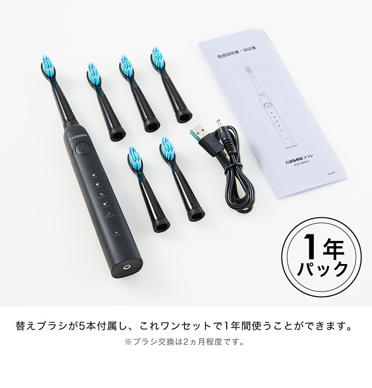 年末のプロモーション大特価! 音波振動式歯ブラシ USB充電 AC