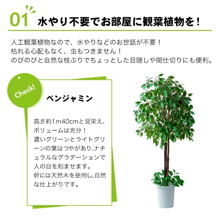 観葉植物 インテリアグリーン 2点セット ベンジャミン 幸福の木 鉢ポット付き 光触媒加工 人工観葉植物 水やり不要 オフィス 事務所 お店 自宅  代引不可