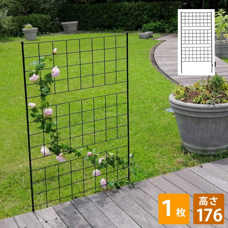 アイアンフェンス 高さ176 グラフ 1枚 IF-GR023-1P フェンス アイアン