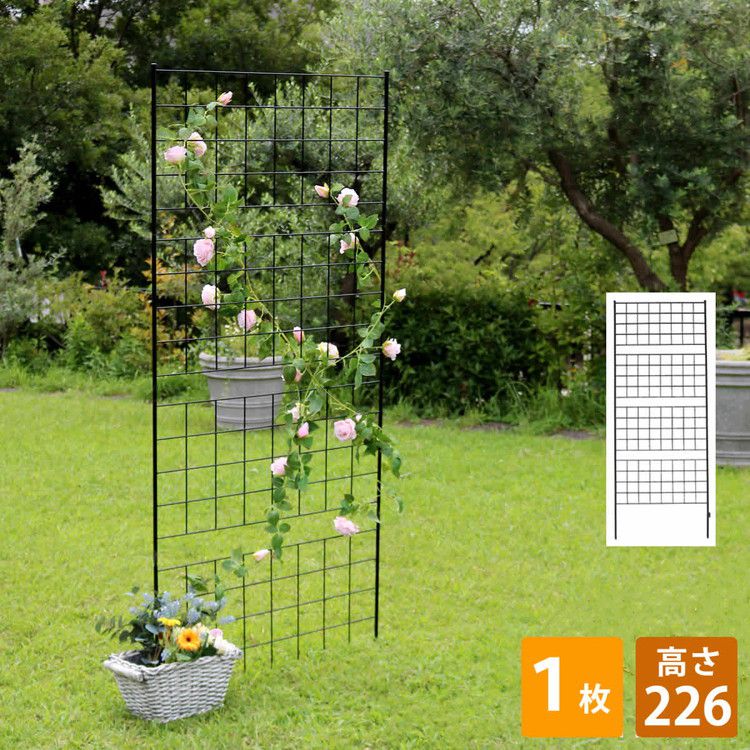 アイアンフェンス 高さ176 グラフ 1枚 IF-GR023-1P フェンス アイアン