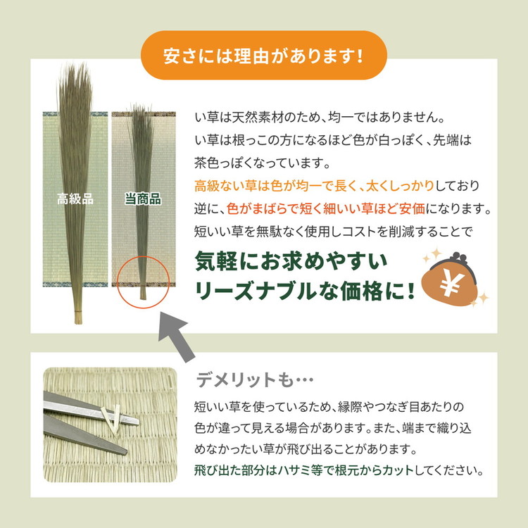 い草上敷き い草カーペット 柳川 やながわ 本間4.5畳 286×286cm 双目