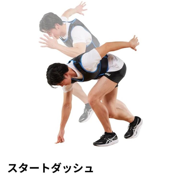 スポーツ フィットネス、トレーニング Amazon | GOLDEN FOX コアスライダー 体幹トレーニング用