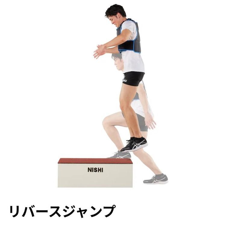 ニシ・スポーツ NISHI ウエイトベスト 4.5kg F NC ボディケア