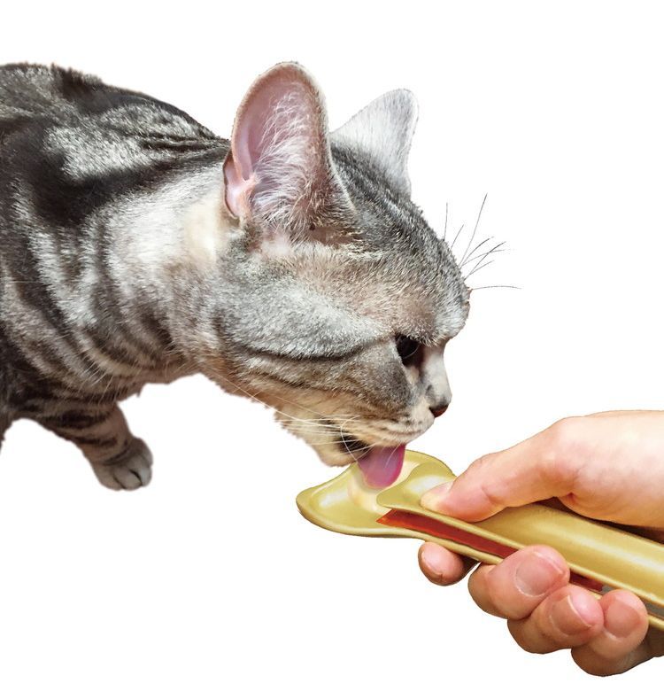 デカ皿 スプーン 猫用 金 ドギーマン 食器