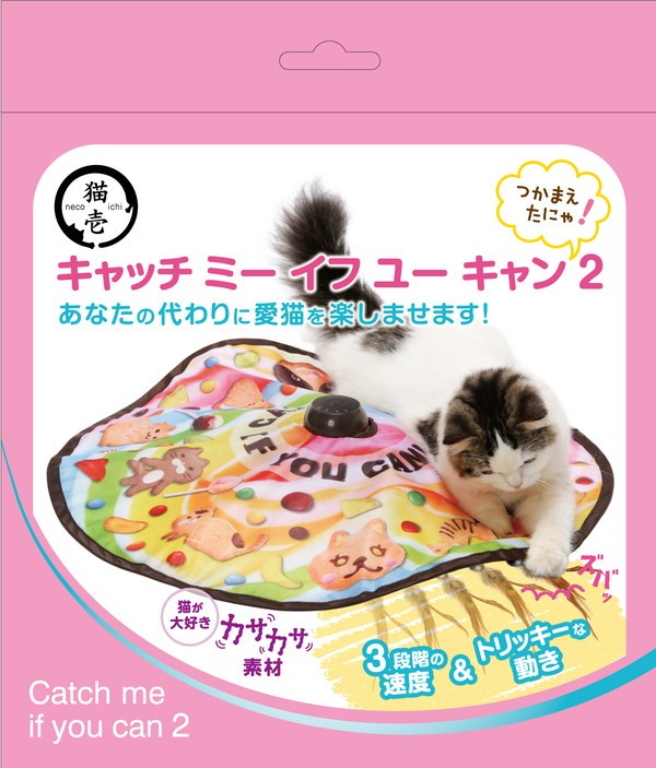 猫ふえちゃった キャット・ウォッチング  /小学館/ジェルミ・エンジェル（単行本） Amazon.co.jp: 猫壱（necoichi） キャッチ・ミー・イフ・ユー