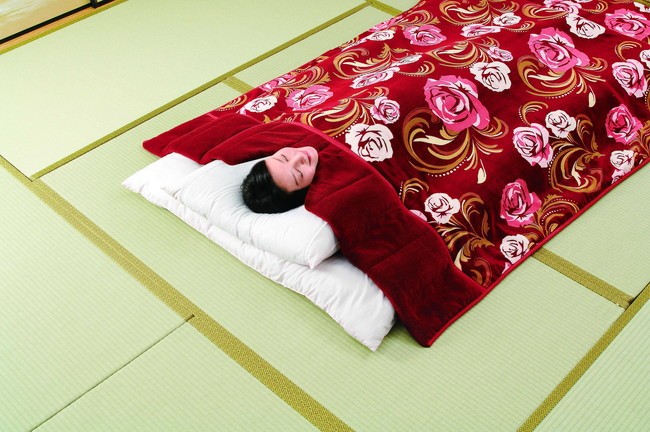 東レマシュマロン 衿くり毛布 3色組 軽量 保湿 代引不可 : リコメン堂