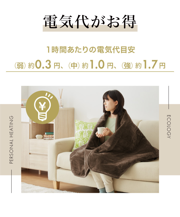 フランネル掛敷電気毛布 ダブル 洗える 電気毛布 抗菌 防臭 防ダニ