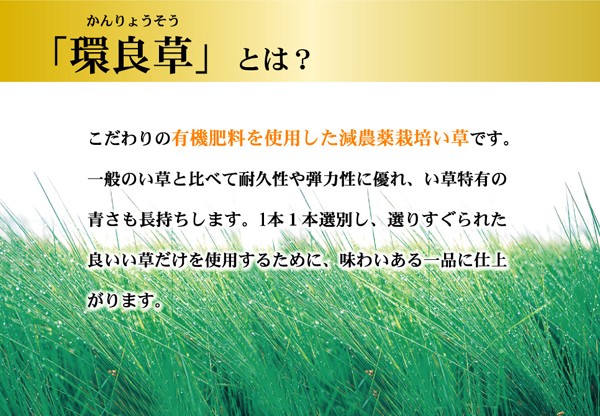 りすぐられ 花ござカーペット 『KISEKI』 江戸間4.5畳(約261×261cm) リコメン堂 - 通販 - PayPayモール などがあり