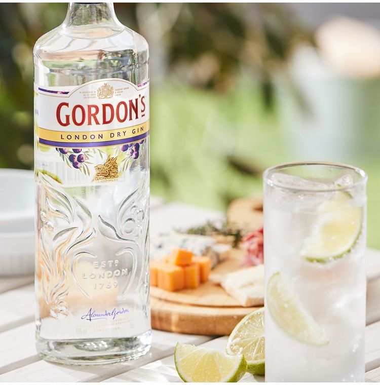 本格ジントニックセット 「ゴードン」ドライジン&トニックウォーター2