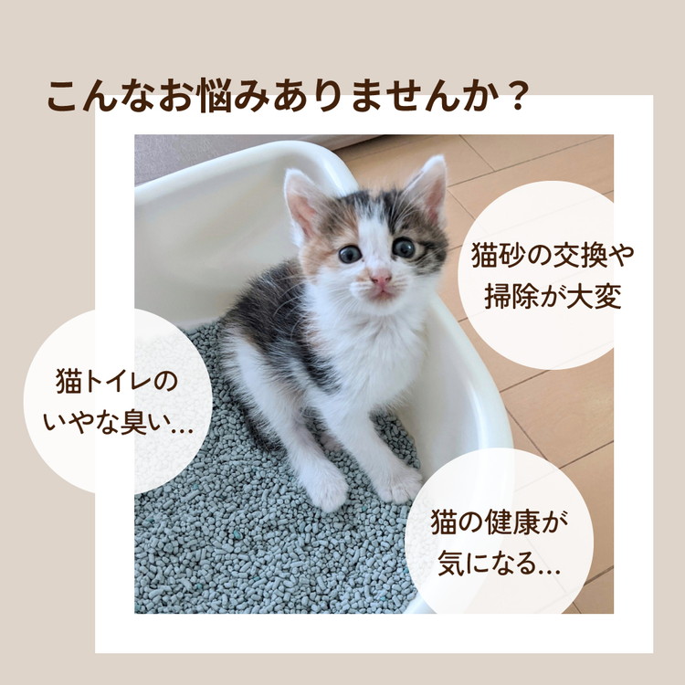 ねこまるさん専用 14才記念その6。-In memory of 14h birthday, No6.- | 私信 まる