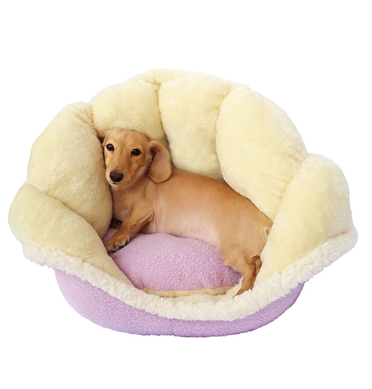 ペッツルート 犬用 冬用 ベッド クリームだいふく 2WAY ぶどう ペット