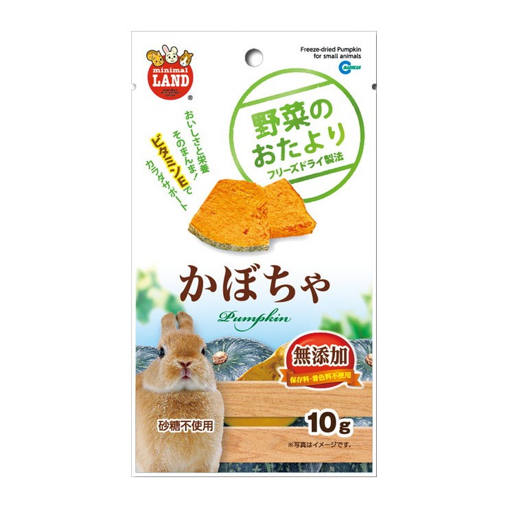 ドライかぼちゃ ハムスターエサ 小動物おやつ チンチラおやつ - 小動物用品