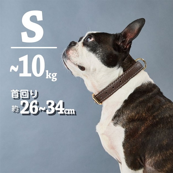 ペティオ 犬用首輪 Porta クラシックソフトレザーカラー 21mm ブラウン