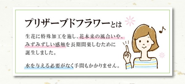 により プリザーブドフラワー 簡単 きれい 代引不可 リコメン堂 通販 Paypayモール 枯れない仏