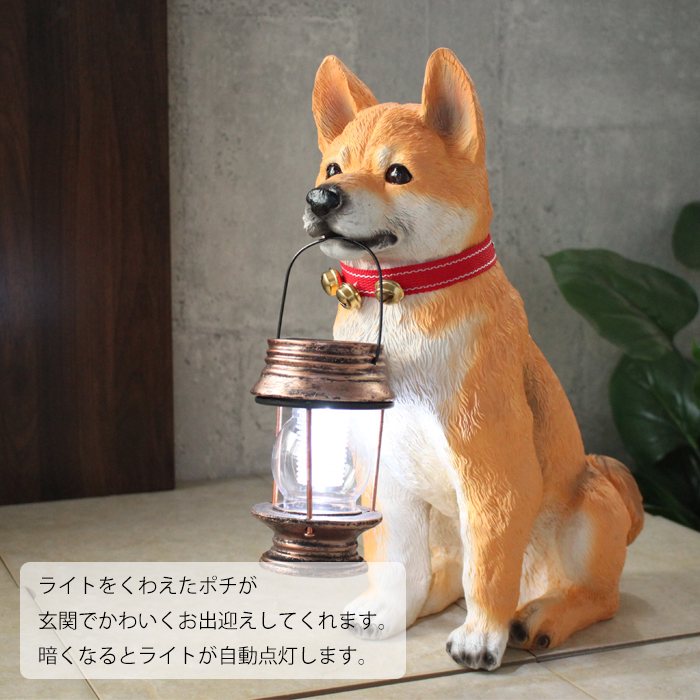 照明機器【電気スタンド】お父さん犬 m0-l-676-002.jpg
