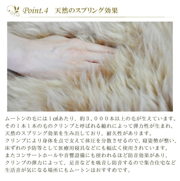 imgrc0079190312.jpg?fitin=720:720