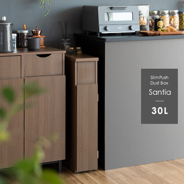 【値下げしました‼️】Santia スリムプッシュダストボックス mt-db-f170-001.jpg