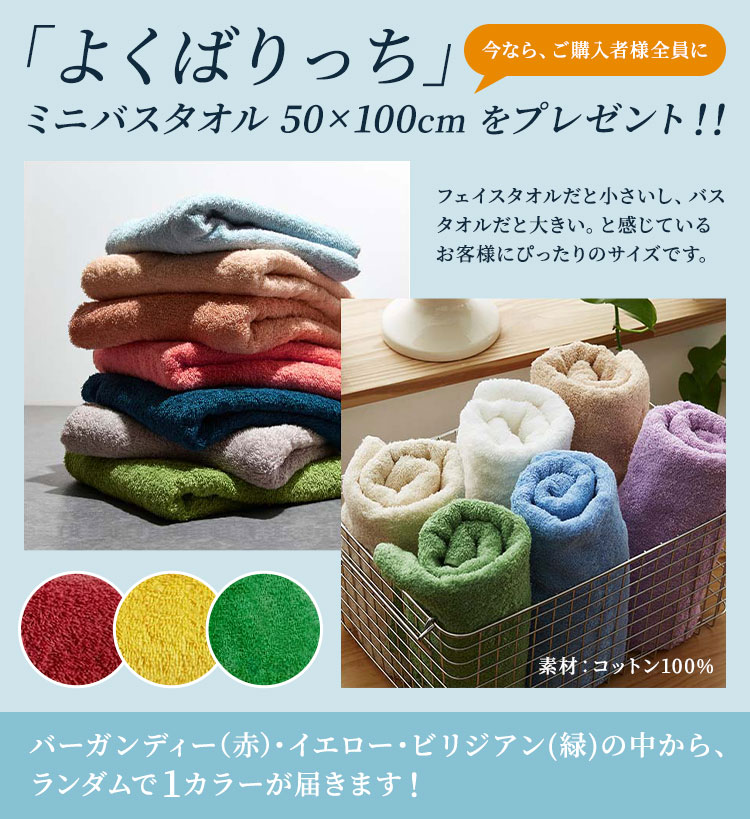 ナイスデイ ビーズクッション 特大 日本製 極み MAX ヌードクッション+