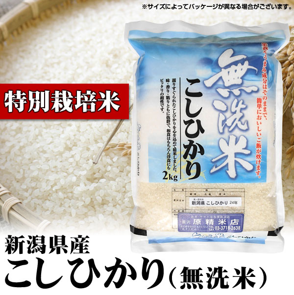 交換無料！ 新米 令和4年産 極上コシヒカリ 玄米or精米or無洗米 20