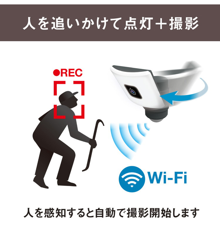 oo-3090411-002.jpg