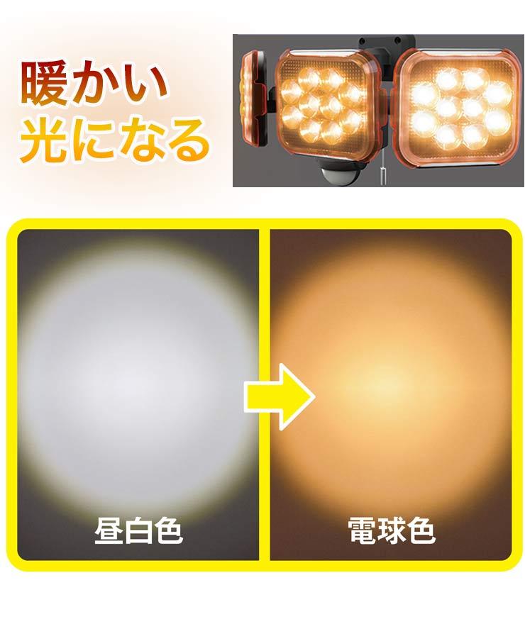 限定おまけ付き RITEX ライテックス LEDセンサーライト 12W×2灯 フリー