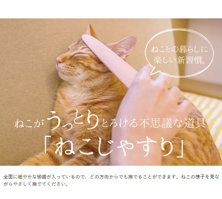 ワタオカ ねこじゃすり 国産 日本製 ブラシ ねこブラシ 猫やすり コミュニケーションブラシ グルーミング ブラッシング メール便 飛脚ゆうパケット