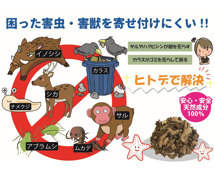 ヒトデ浪漫 ヒトデ忌避剤 乾燥 粉末 ヒトデ 天然素材 小分けタイプ 10