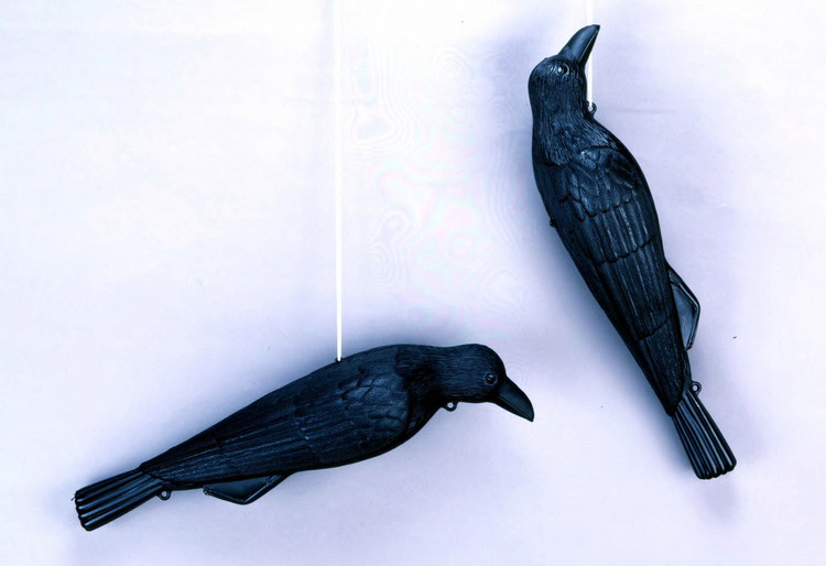 ミツギロン コワガラス ブラック EG-18 カラス 鳥 防鳥 撃退 鳩 ハト