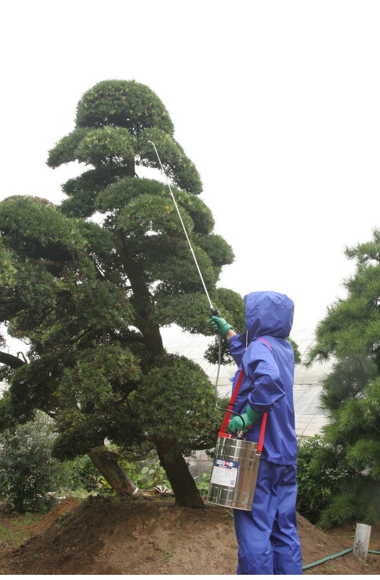 丸山製作所 BIGMマルヤマ ステンレス製噴霧器 10L 伸縮ノズル付 肩掛