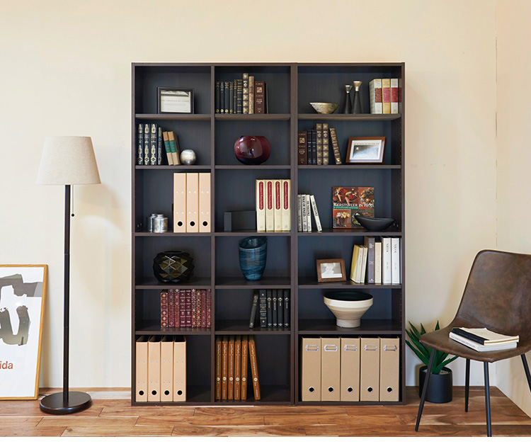 boraam techny collection scully bookcase