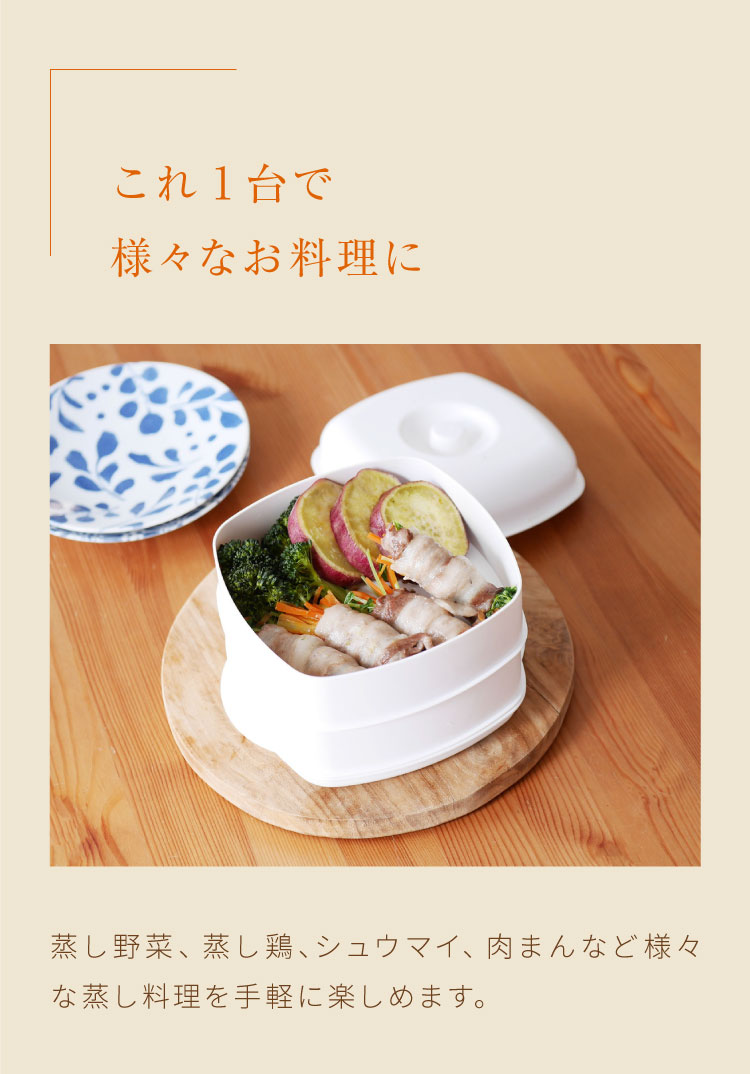 日本製 レンジで簡単 せいろ2段セット 2品同時調理 蒸し器 電子レンジ