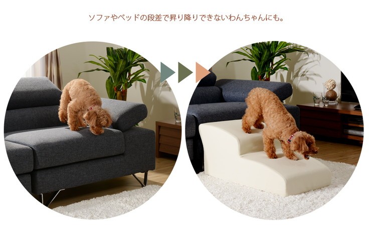 ドッグステップ 2段 奥行き80cm 購入 段差 ペット用階段 スロープ 犬用 犬 日本製 ステップ 小型犬 ペット 階段 介護用 代引不可