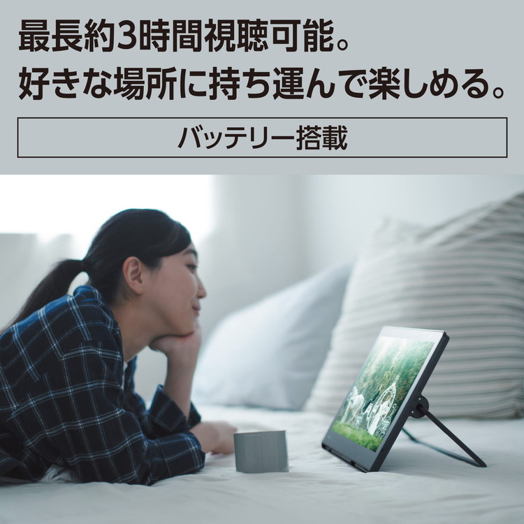 UN-15L12H Panasonic ポータブルテレビ プライベート・ビエラ