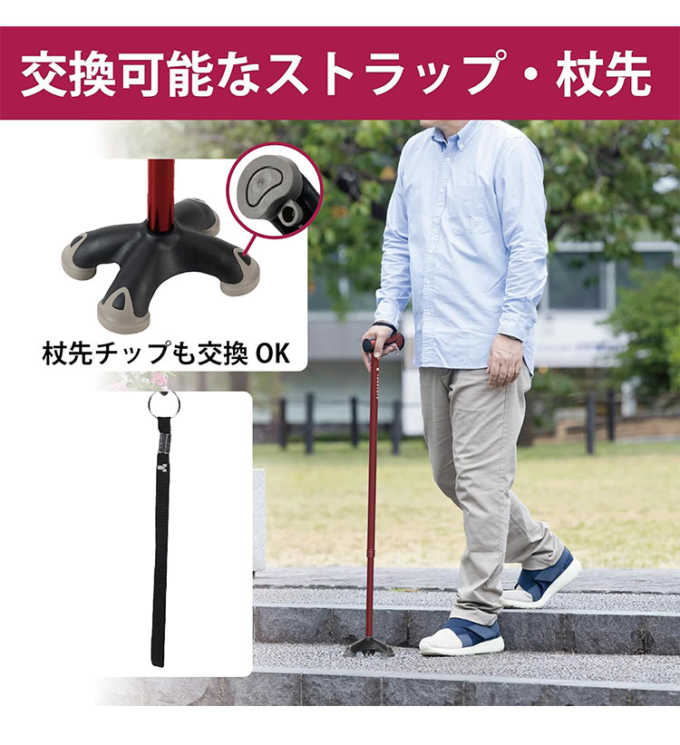 法人限定 竹虎 バンブーステッキワイド多点杖/ブラック/- ブラック