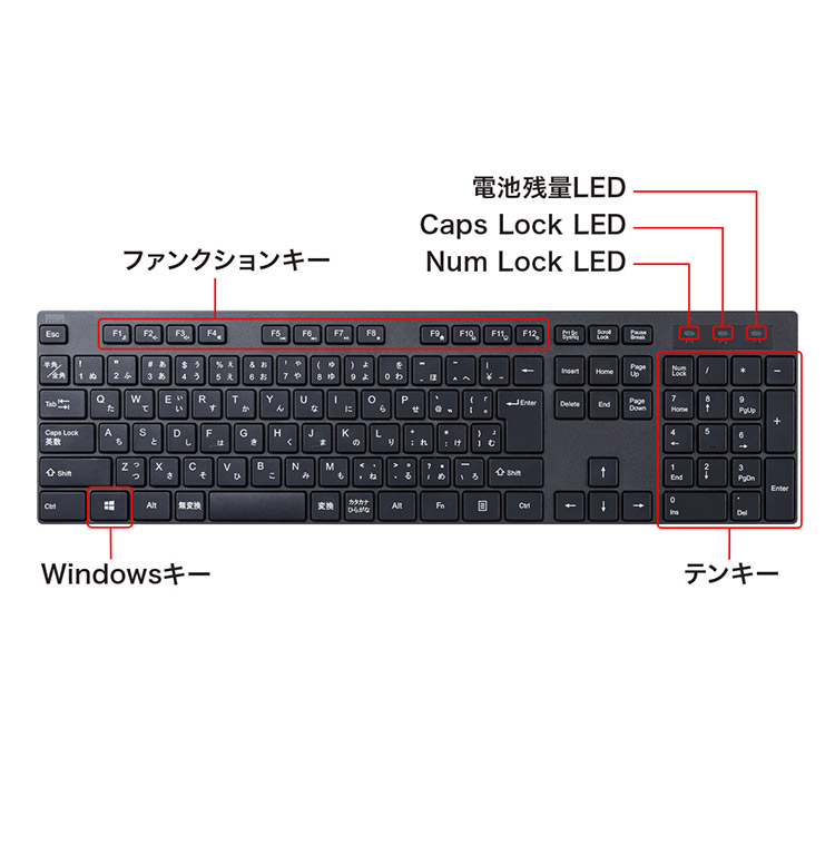 ws-4969887701041-006.jpg