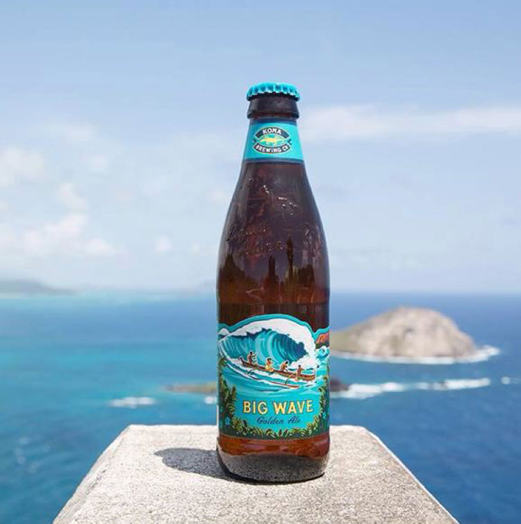 ハワイのビール コナ ビックウェーブ 瓶 ゴールデンエール コナビール Kona Brewing Big Wave Golden Ale ハワイ  ハワイアン アメリカ ギフト : yu-796030214967 : リコメン堂ホームライフ館 - 通販 - Yahoo!ショッピング