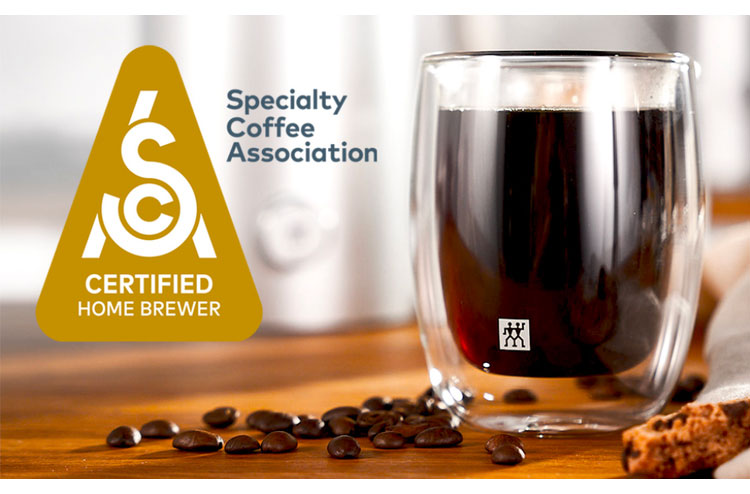 ツヴィリング エンフィニジー コーヒーメーカー 自動 アロマ抽出 10杯