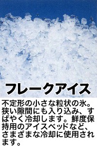フレークアイス