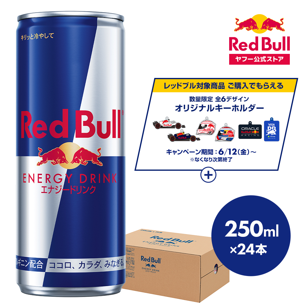 レッドブル（RedBull） ＼24％OFFクーポン対象 6/15まで／公式