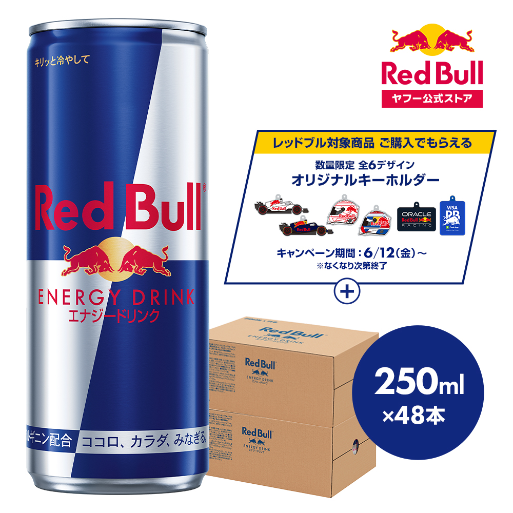 レッドブル（RedBull） 公式 エナジードリンク 250ml×48本(24本×2